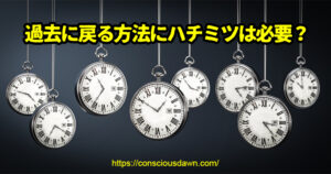 過去に戻る方法にハチミツは必要か？