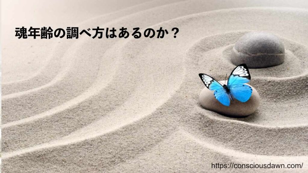 魂年齢の調べ方はあるのか?