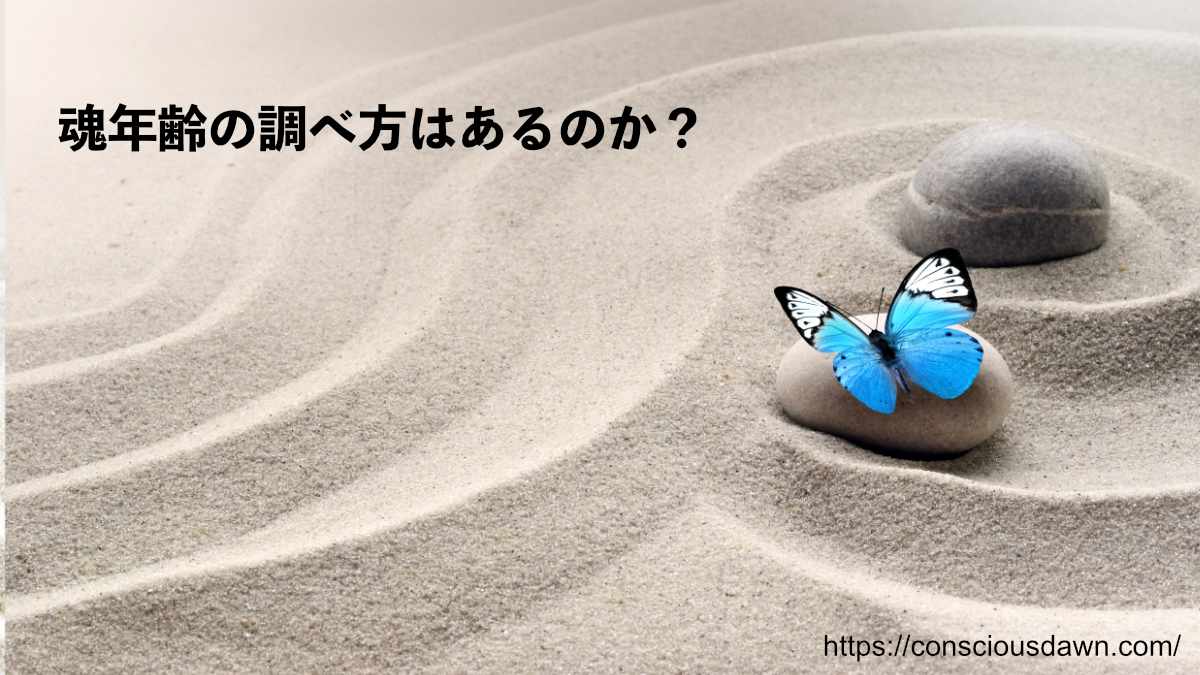 魂年齢の調べ方はあるのか？