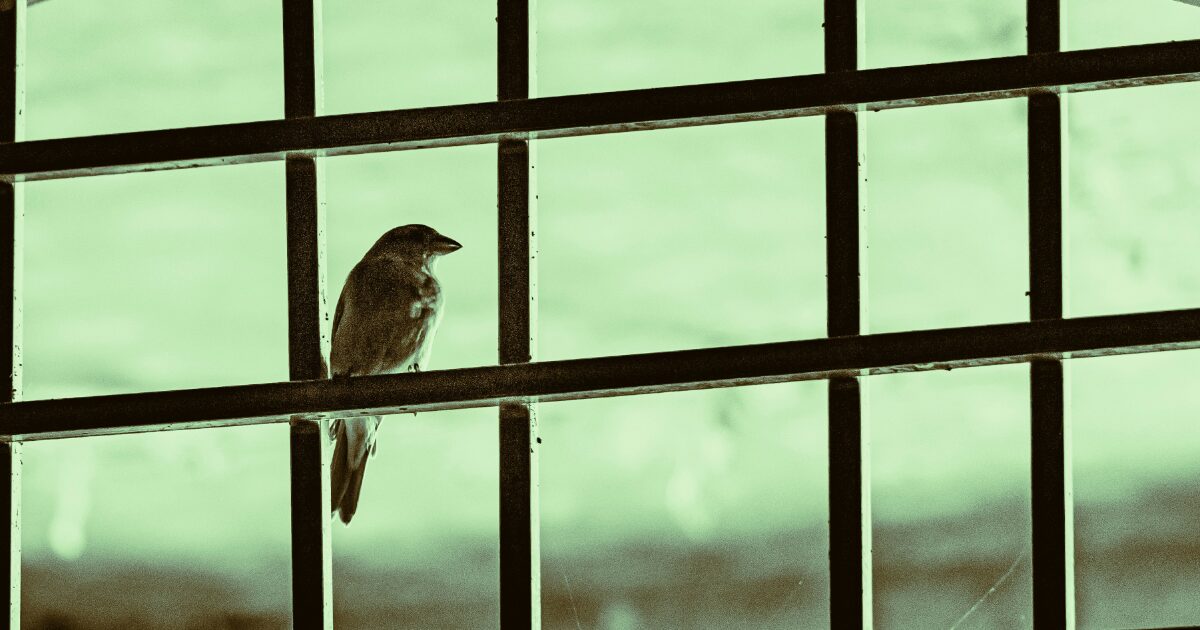 鳥が窓をつつく時のスピリチュアルな意味